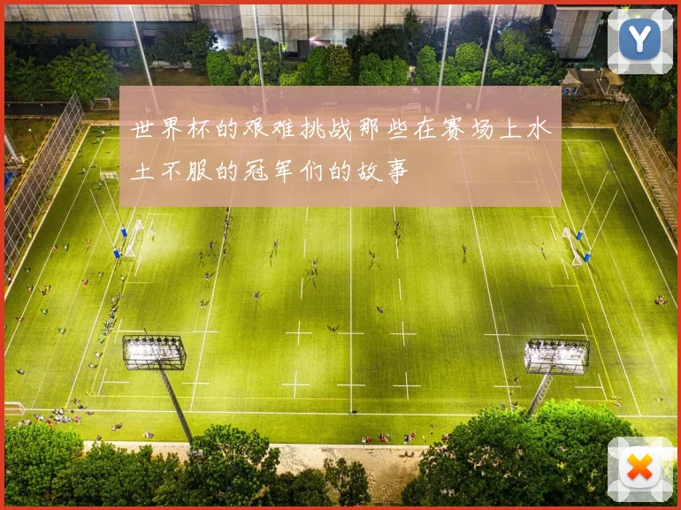 世界杯的艰难挑战那些在赛场上水土不服的冠军们的故事